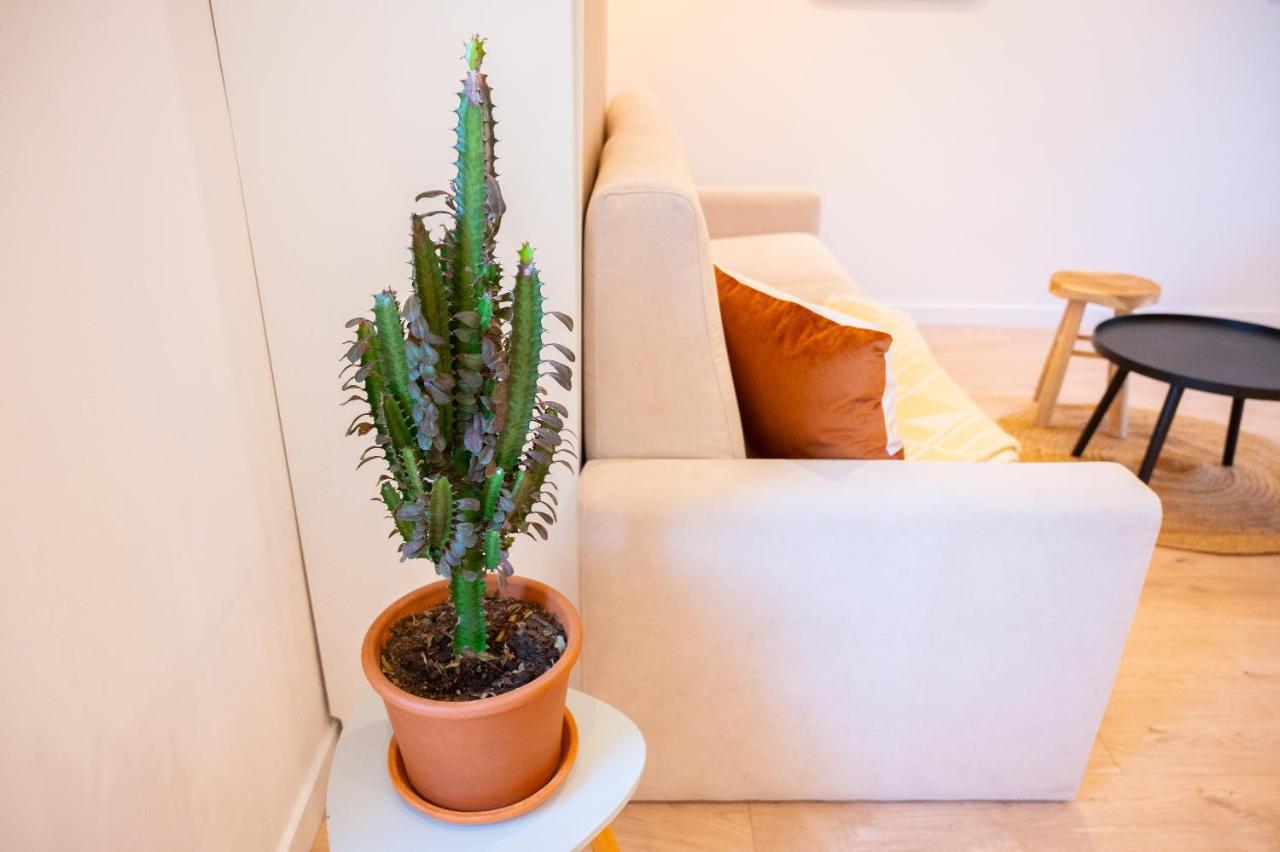 Appartement Cocooning Proche Mer Carqueiranne Ngoại thất bức ảnh