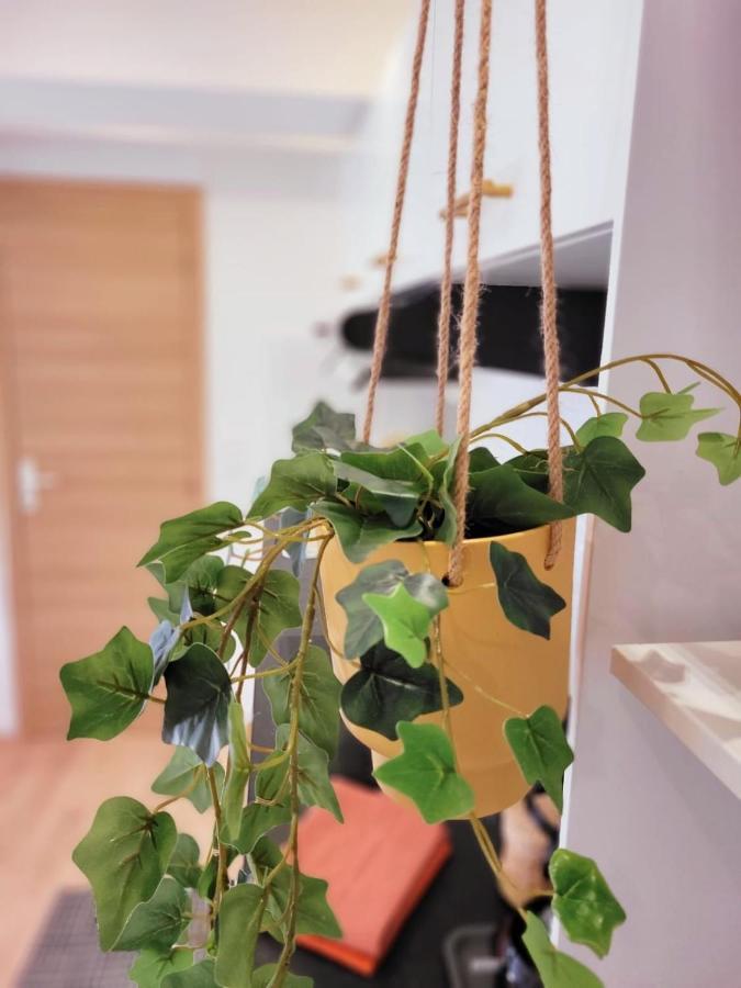 Appartement Cocooning Proche Mer Carqueiranne Ngoại thất bức ảnh